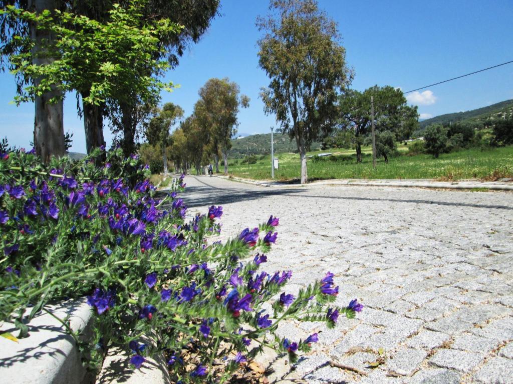 Zeybek 1 Pension Patara Exteriör bild